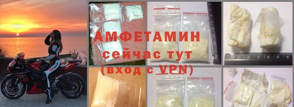 гидра Вязьма