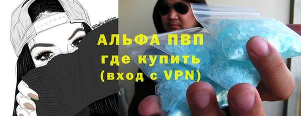 гидра Вязьма