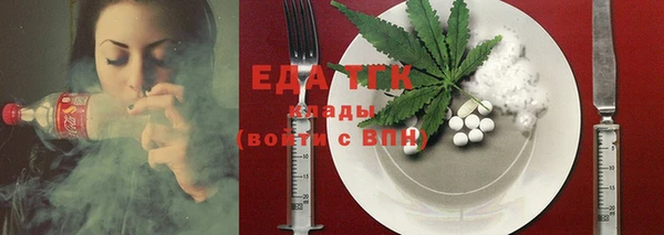 гидра Вязьма