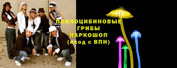гидропоника Вяземский