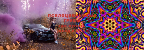 гидропоника Вяземский