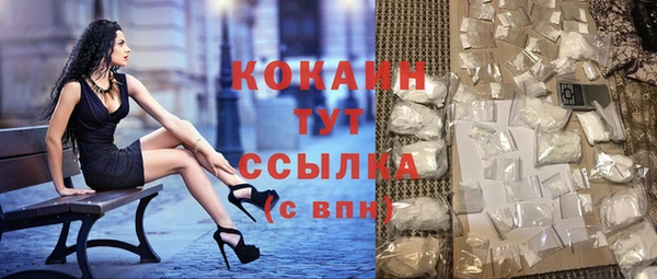 стаф Гусь-Хрустальный
