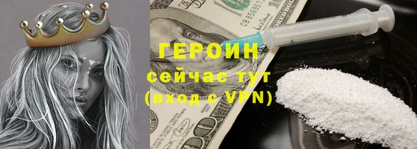 гидра Вязьма
