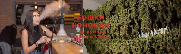 гидра Вязьма